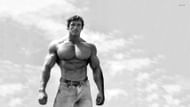 Arnold's ab workout. (Image via Wallpapers.com)